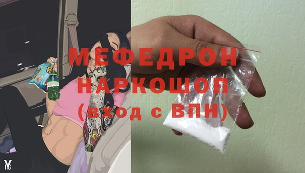 гашик Инта