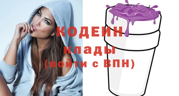 сатива Иннополис