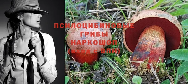 гашик Инта