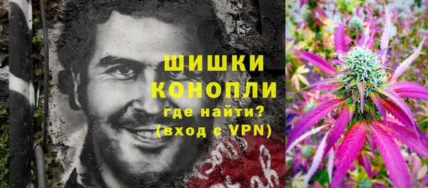 гашик Инта