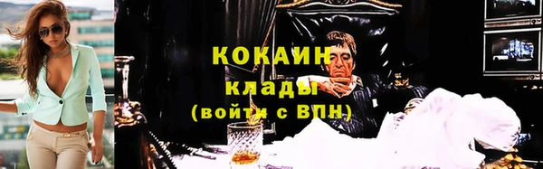 гашик Инта