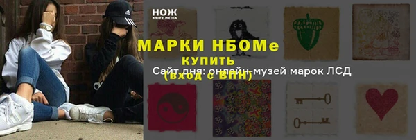 гашик Инта