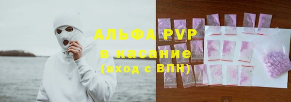 сатива Иннополис