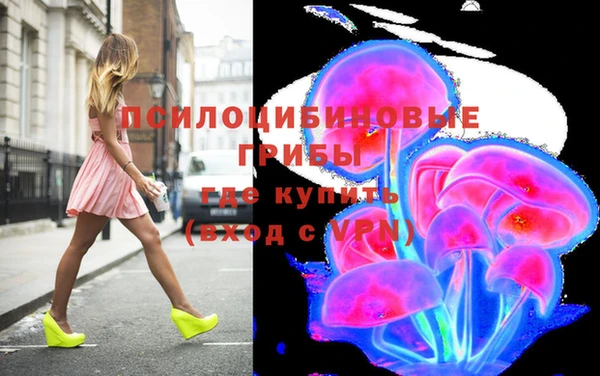 сатива Иннополис