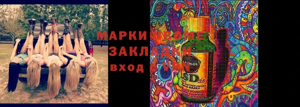 сатива Иннополис