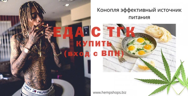 гашик Инта