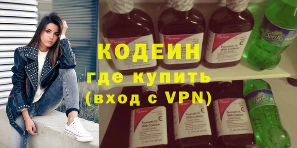 сатива Иннополис