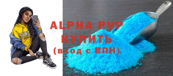 сатива Иннополис