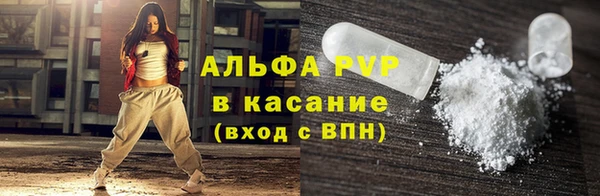 сатива Иннополис