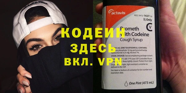 сатива Иннополис