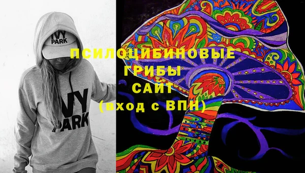 мет Инсар