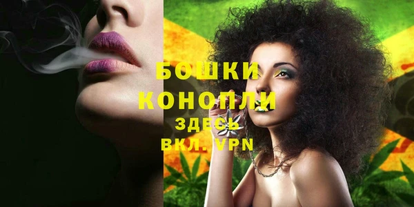 сатива Иннополис