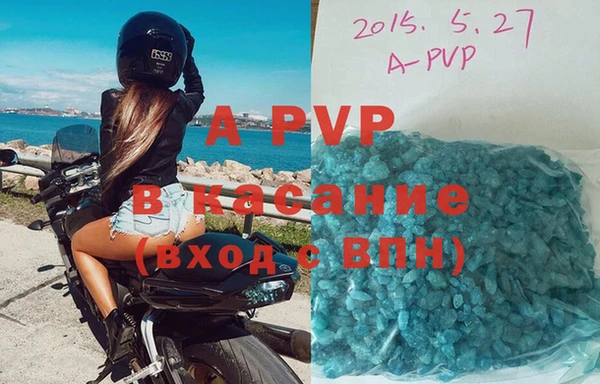 сатива Иннополис